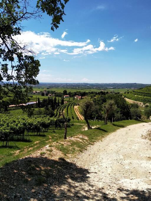 Giardino Del Borgo Appartamento Valpolicella Sant'Ambrogio di Valpolicella Ngoại thất bức ảnh