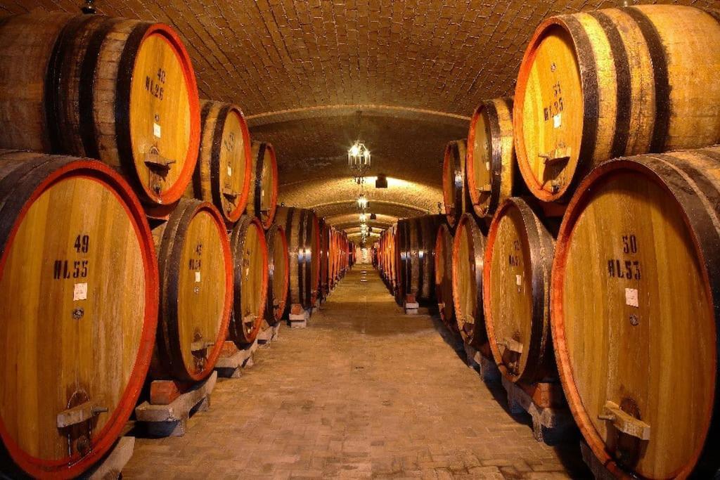Giardino Del Borgo Appartamento Valpolicella Sant'Ambrogio di Valpolicella Ngoại thất bức ảnh