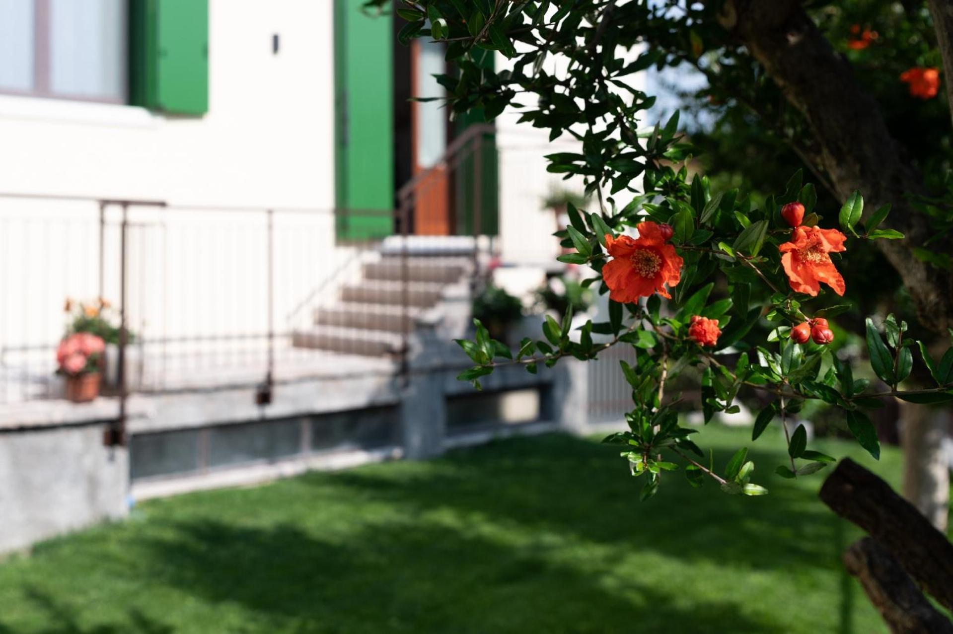 Giardino Del Borgo Appartamento Valpolicella Sant'Ambrogio di Valpolicella Ngoại thất bức ảnh